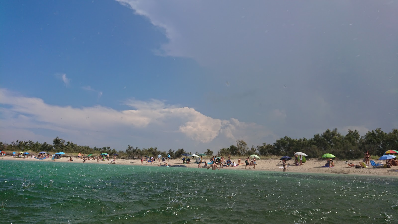 Foto di Spiaggia di Torre Guaceto - luogo popolare tra gli intenditori del relax