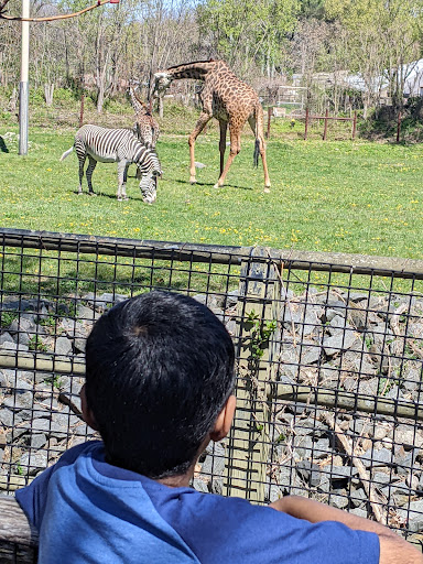 Park «Franklin Park», reviews and photos, 1 Franklin Park Rd, Boston, MA 02121, USA