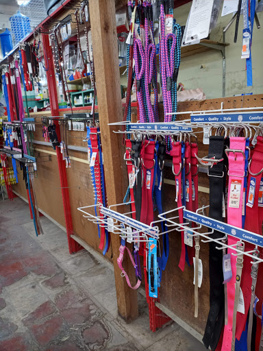 Pet Supply Store «Alamo Feed & Pet Supply», reviews and photos, 2230 Blanco Rd, San Antonio, TX 78212, USA