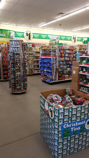 Dollar Store «Dollar Tree», reviews and photos, 1101 Old Philadelphia Rd f, Jasper, GA 30143, USA