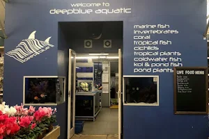 Deepblue Aquatic image