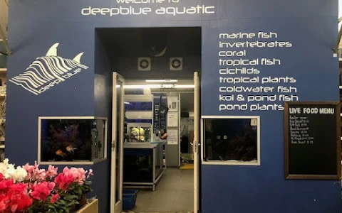 Deepblue Aquatic image