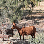 Photo n°1 de l'avis de monchienAston. fait le 28/07/2021 à 13:58 sur le  Vila Galé Collection Alter Real à Alter Do Chão