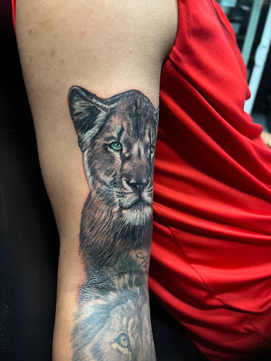 Explore cute dinosaur tattoo ideas, creative tattoo ideas in Mcallen, available at House of Tattoos