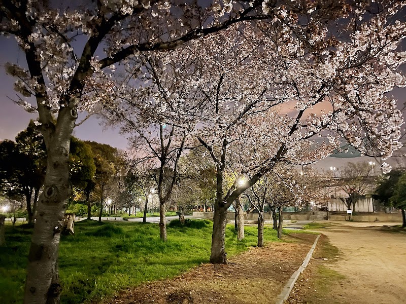 中島公園 川北グラウンド