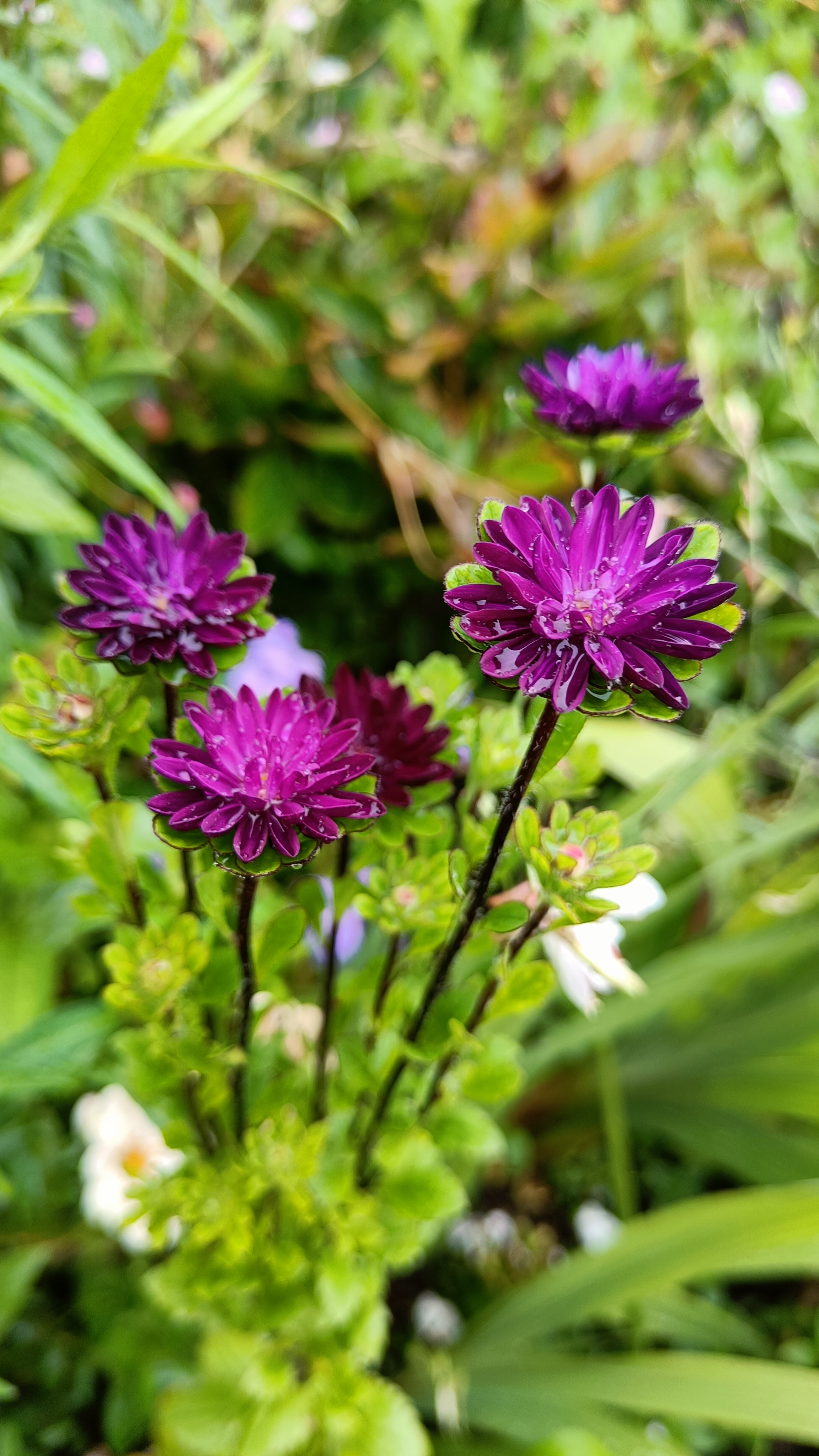 Photo n° 14 de l'avis de Eliot.o fait le 28/07/2023 à 16:35