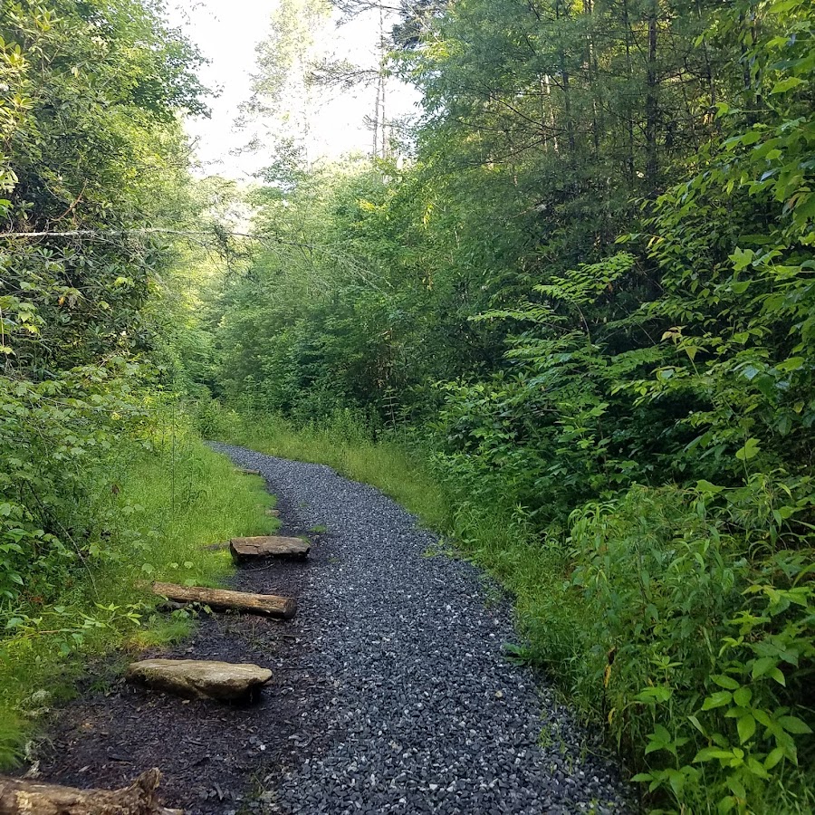 Piney Knob Trail System