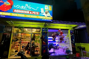 Guppies aquarium & pets image