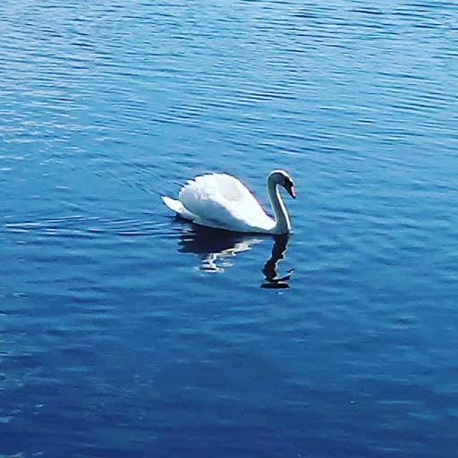 State Park «Lowell Heritage State Park», reviews and photos, 160 Pawtucket Blvd, Lowell, MA 01854, USA