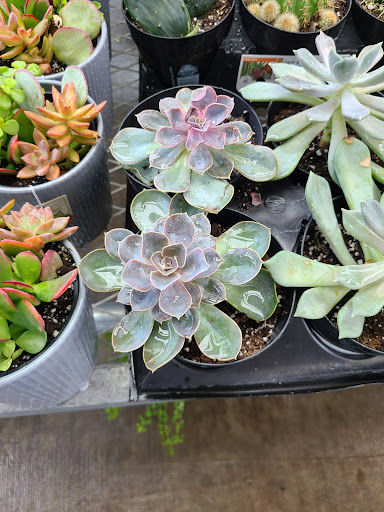 Home Improvement Store «The Home Depot», reviews and photos, 4915 Garth Rd, Baytown, TX 77521, USA