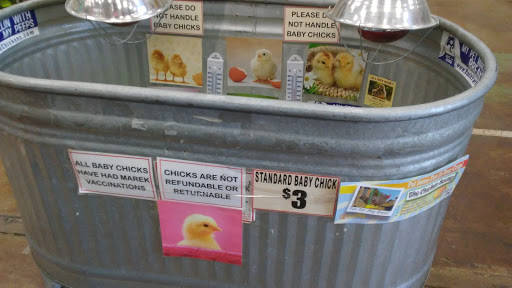 Pet Supply Store «Concord Feed Pet & Livestock Supplies», reviews and photos, 228 Hookston Rd, Pleasant Hill, CA 94523, USA