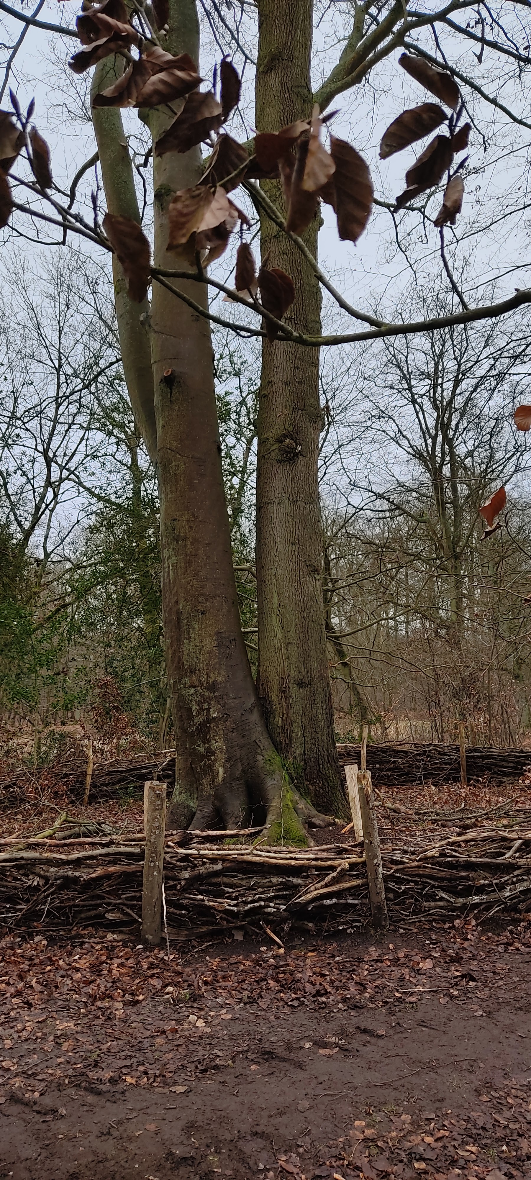 Photo n° 10 de l'avis de Marie.r fait le 02/02/2022 à 15:06