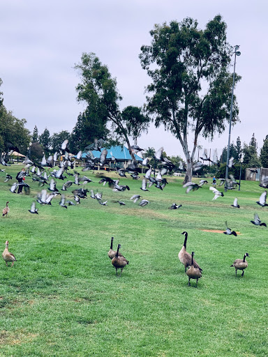 Park «Almansor Park», reviews and photos, 800 S Almansor St, Alhambra, CA 91801, USA