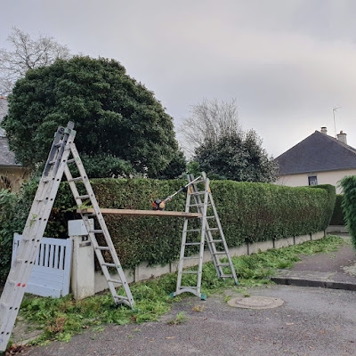 Breizh Elagage - Élagueur à Cesson-Sévigné à Cesson-Sévigné