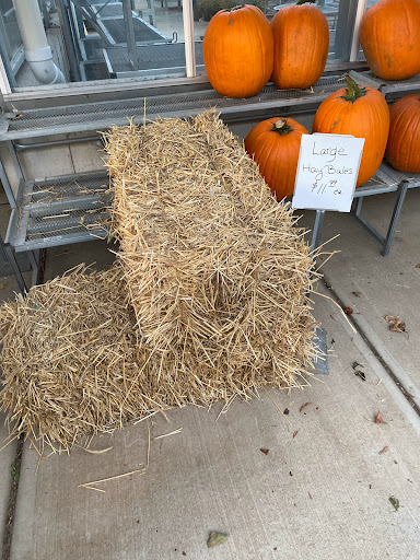 Produce Market «E Draghi & Son Farm Stand», reviews and photos, 86 Main St, South Glastonbury, CT 06073, USA