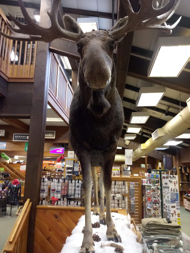 Shopping Mall «Kittery Premium Outlets», reviews and photos, 375 US-1, Kittery, ME 03904, USA