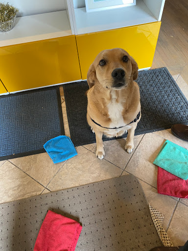 House Cleaning Service «Fresh Tech Maid», reviews and photos, 532 Wesley Ave, Evanston, IL 60202, USA