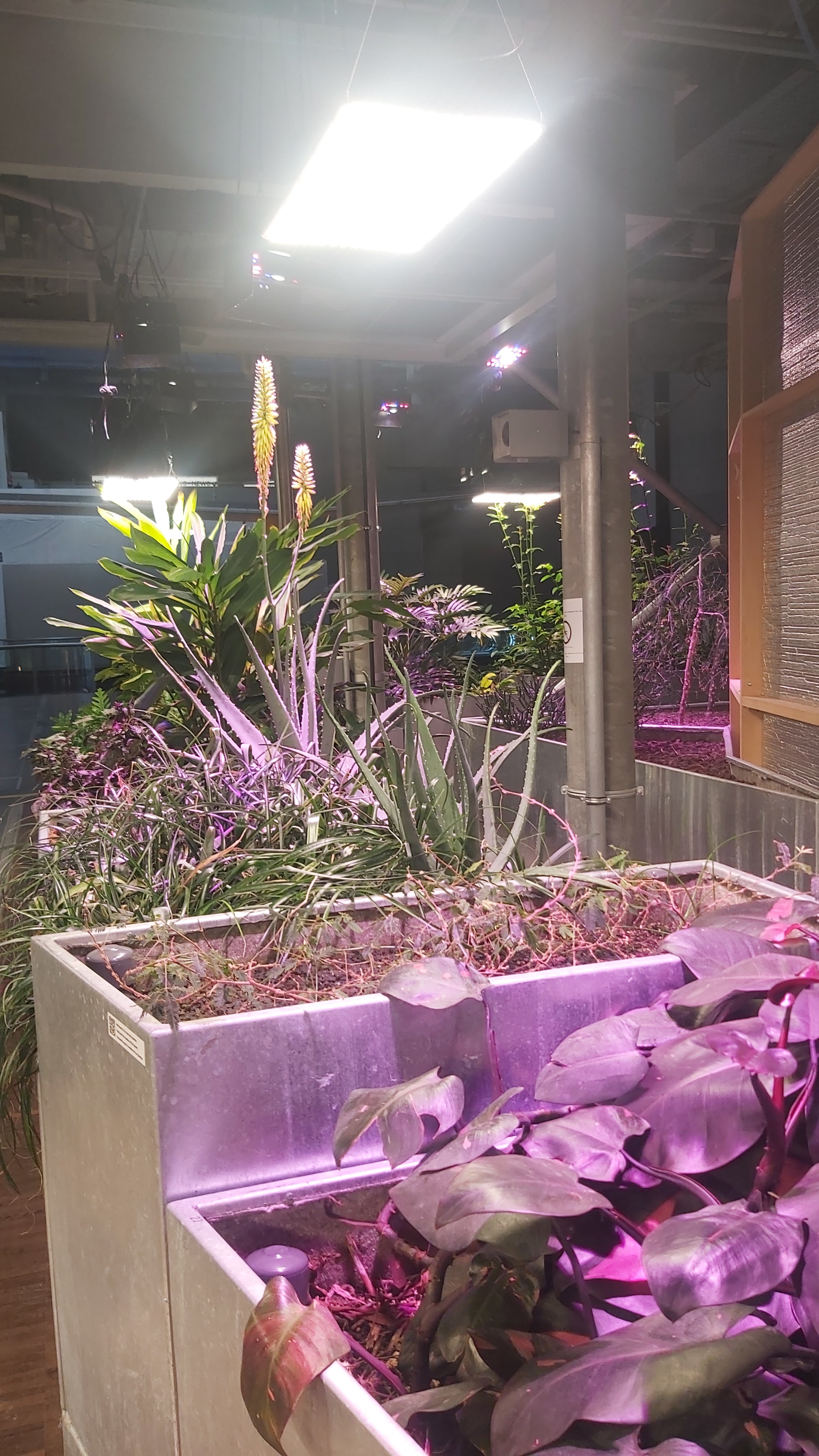 Photo n° 28 de l'avis de Celine.e fait le 27/01/2024 à 14:49