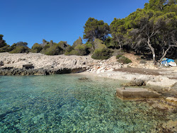 Nova beach'in fotoğrafı çok temiz temizlik seviyesi ile