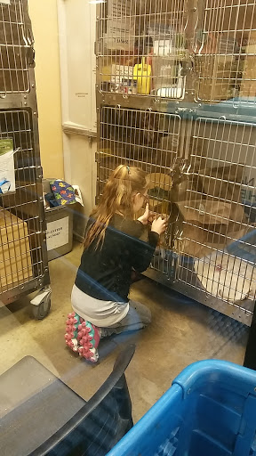 Pet Supply Store «PetSmart», reviews and photos, 4500 Mitchellville Rd, Bowie, MD 20716, USA