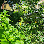 Photo n°6 de l'avis de Angelina.a fait le 18/07/2023 à 14:55 sur le  Aromático 54 à Viseu