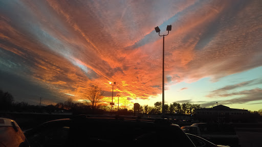 Grocery Store «BI-LO», reviews and photos, 148 Walnut Ln, Travelers Rest, SC 29690, USA