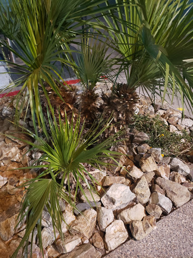 Shopping Mall «Westgate Entertainment District», reviews and photos, 6751 N Sunset Blvd, Glendale, AZ 85305, USA