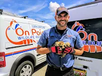 On Point Wildlife Removal - Car repair in Melbourne, FL, Palm Bay - Rated 4.8/5