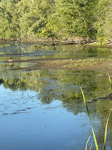 Event Venue «Green Acres Event Center», reviews and photos, 14150 Pioneer Trail, Eden Prairie, MN 55347, USA