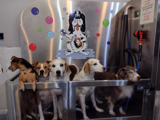 Pet Groomer «Belly scRubs Self Service Pet Wash», reviews and photos, 119 WV-34 #1, Hurricane, WV 25526, USA