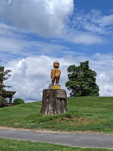 Public Golf Course «Valley View Golf Club», reviews and photos, 4638 US Hwy 220, Moorefield, WV 26836, USA