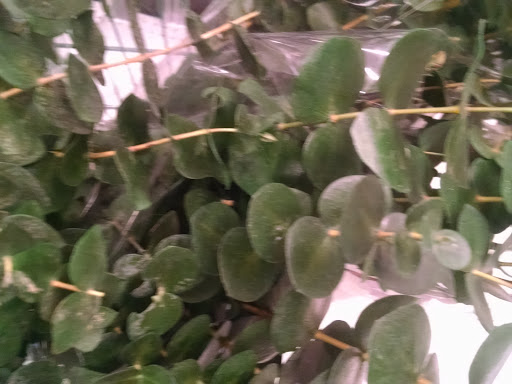 Fabric Store «Jo-Ann Fabrics and Crafts», reviews and photos, 10545 S Mall Dr, Baton Rouge, LA 70809, USA