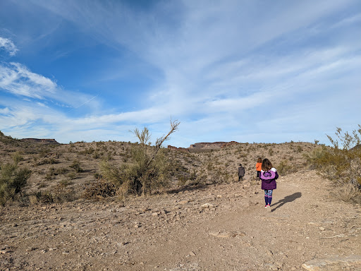 Hiking Area «Monolith Garden Trail», reviews and photos, Metwell Dr, Kingman, AZ 86401, USA