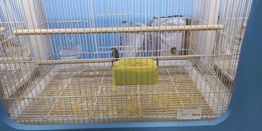 Pet Supply Store «Pet Supreme», reviews and photos, 12823 Foothill Blvd, Sylmar, CA 91342, USA