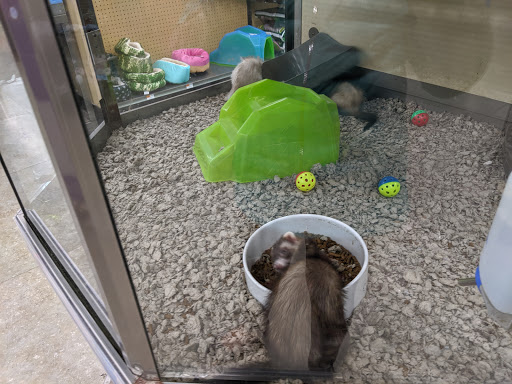 Pet Supply Store «Petco Animal Supplies», reviews and photos, 1215-1309 NJ-33 #1, Hamilton Township, NJ 08690, USA