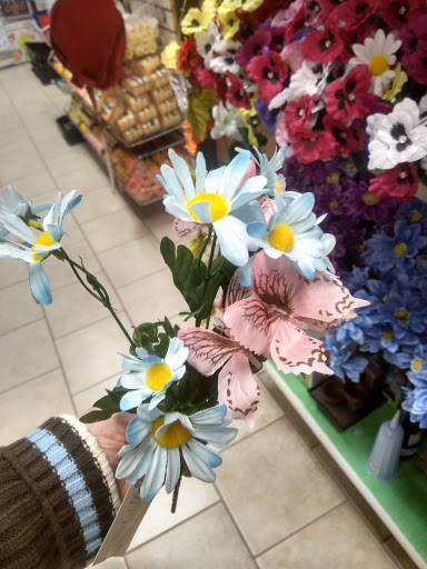 Variety Store «Dollar Discount», reviews and photos, 1825 S Cedar St, Imlay City, MI 48444, USA