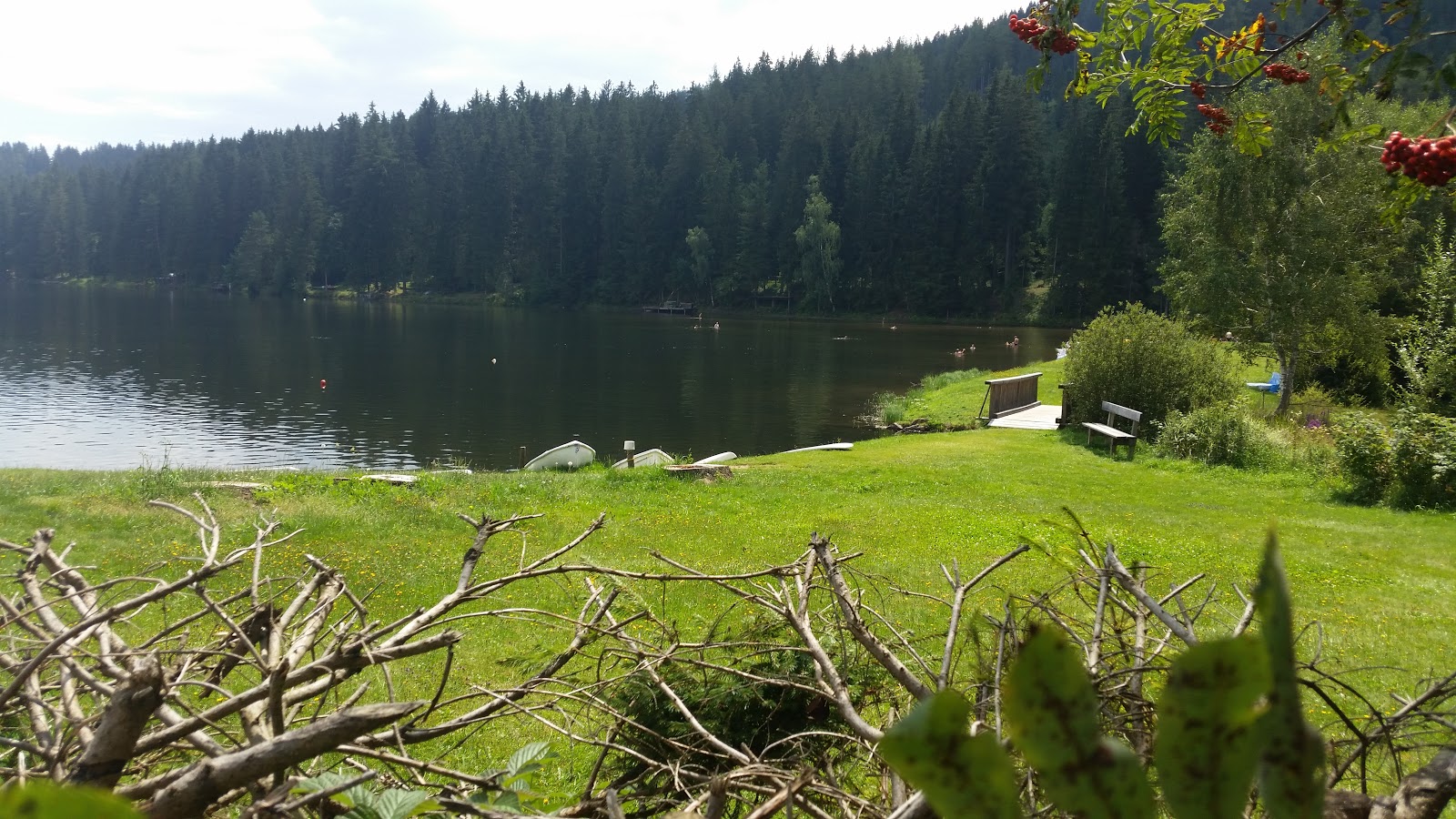 Seebad Packer Stausee photo #8