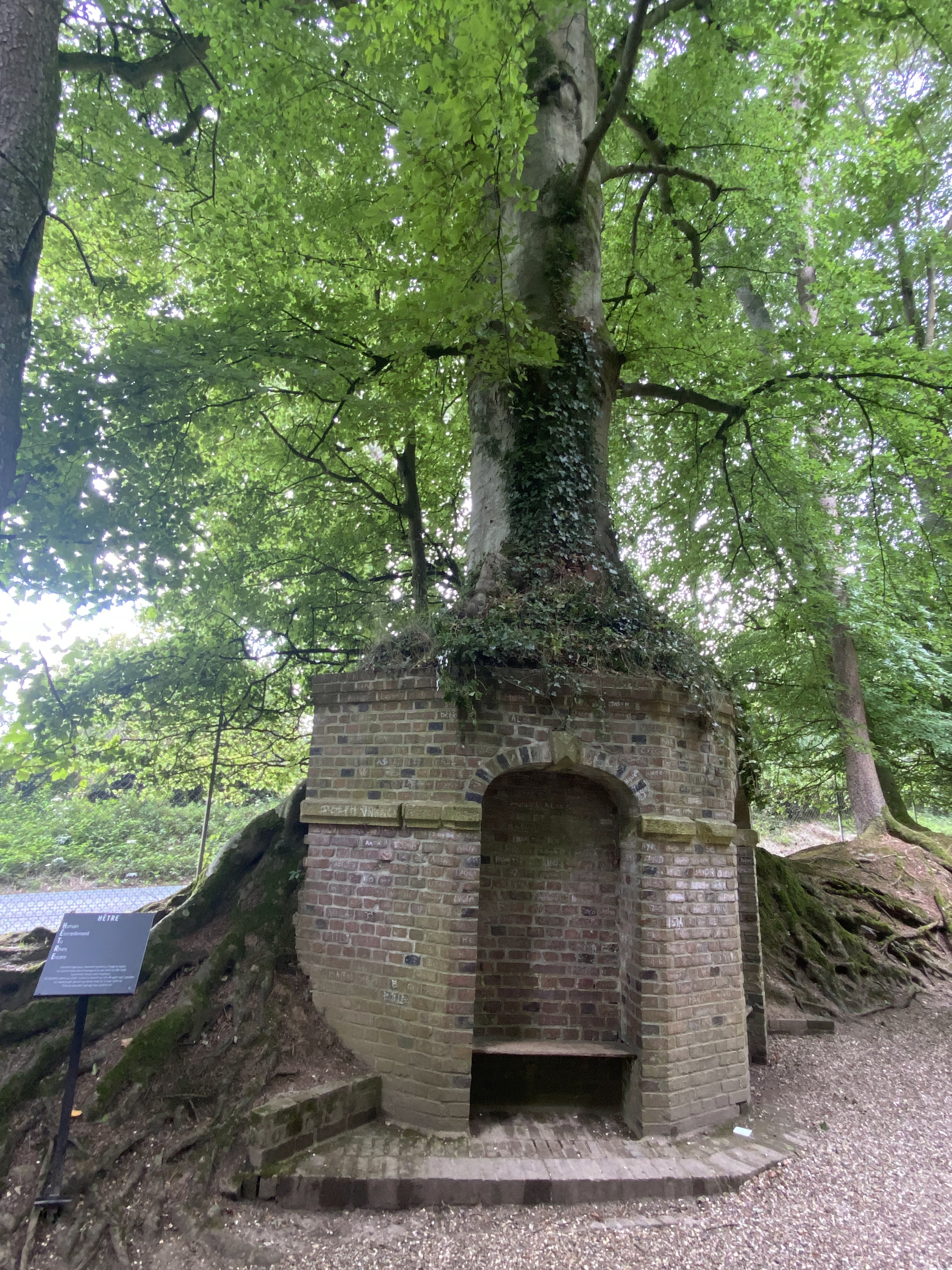 Photo n° 4 de l'avis de Mickael.e fait le 11/08/2023 à 05:54