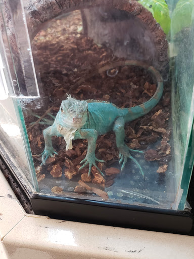 Pet Supply Store «Petco Animal Supplies», reviews and photos, 1014 Glenbrook Way, Hendersonville, TN 37075, USA