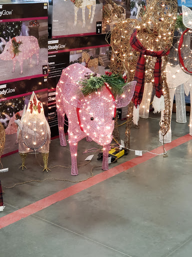 Home Improvement Store «Tractor Supply Co.», reviews and photos, 3330 US-80, Dudley, GA 31022, USA