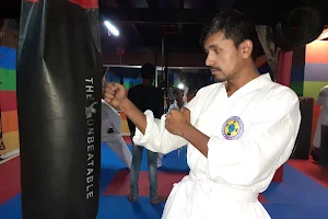 Karate Organization of India image