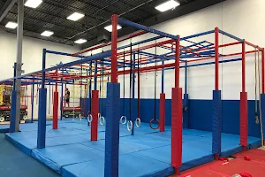 Conquer Ninja Gyms - Burnsville image