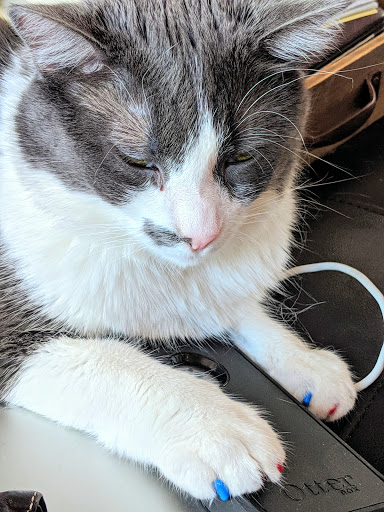 Pet Store «Pet Valu», reviews and photos, 604 Plaza Dr, Newark, DE 19702, USA