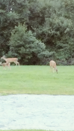 National Park «Greenbelt Park», reviews and photos, 6565 Greenbelt Rd, Greenbelt, MD 20770, USA