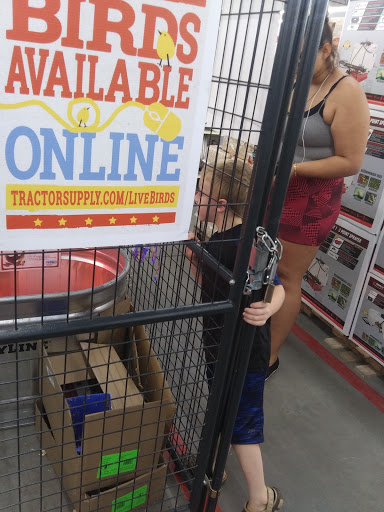 Home Improvement Store «Tractor Supply Co.», reviews and photos, 10801 Colonel Glenn Rd, Little Rock, AR 72204, USA