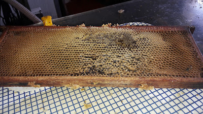 L'Ermitage des Abeilles à Saint-Nicolas-d'Aliermont