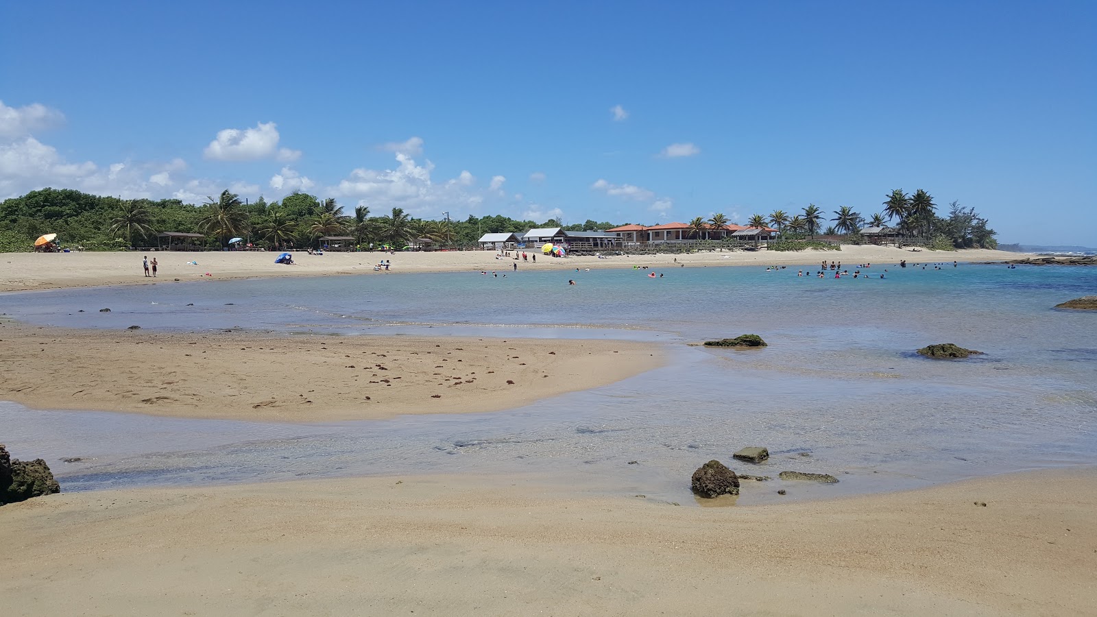 Playa Sardinera photo #8