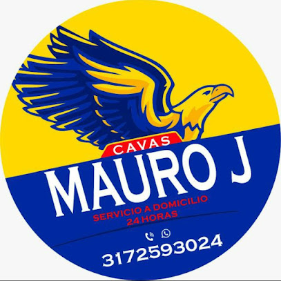 Cavas Mauro J