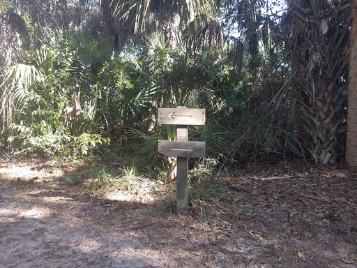Nature Preserve «Koreshan Preserve», reviews and photos, 3891 Broadway W, Estero, FL 33928, USA