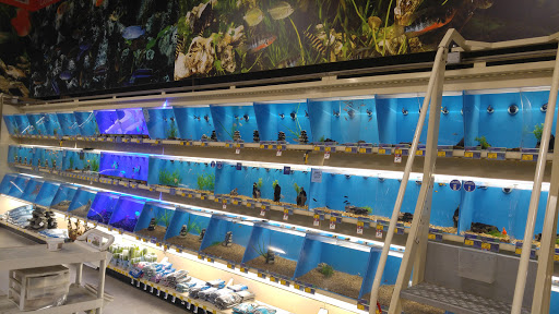 Pet Supply Store «PetSmart», reviews and photos, 1196 W Olive Ave, Merced, CA 95348, USA